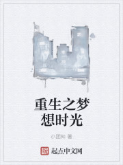 重生之梦想时光