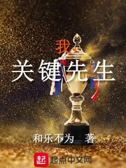 我，关键先生