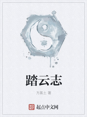 踏云志