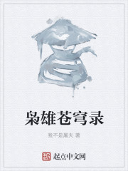 枭雄苍穹录