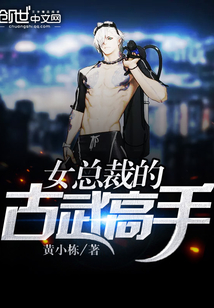 女总裁的古武高手