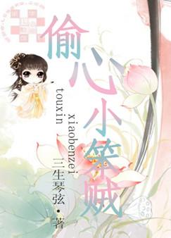 偷心小笨贼